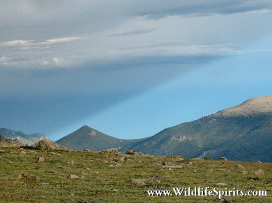 Click Picture to send as an  E-PostCard 65k 550x412